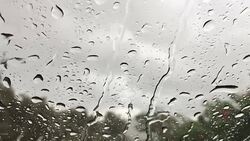 Slow Motion: Drops dripping down the glass Stock Footage