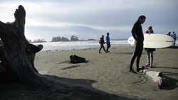 Surfers hit the waves at a popular winter beachside resort Instructional Video