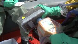 CLEAN: Fear over sea contamination off Fukushima: file News Clip