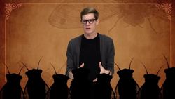 Why Are Cicadas So Good At Math? Instructional Video