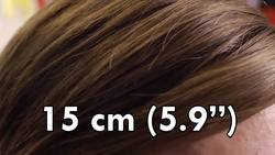 How Science Defines A Year Instructional Video