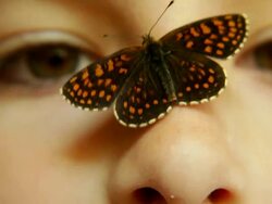 Butterfly on a girls nose Stock Footage