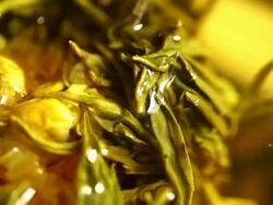 Blossoming Tea. Collage. Stock Footage