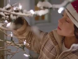 CU Shot of little boy setting lights on outdoor Christmas tree / Yarmouth, Maine, United States Stock Footage