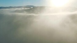 Flying on fog over a forest into the morning sun Stock Footage