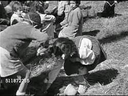 1945: PALESTINE: Children walking up woodland trail, using hoe on grass. KIBBUTZ: woman picking grapefriuit from citrus tree, men dumping boxes of grapefruit into truck. Communal farming community, kibbutzim. Instructional Video