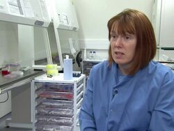 Universal Flu Vaccine Successfully Tested News Clip