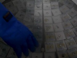Close up of seeds inside cryogenic storage unit. Stock Footage