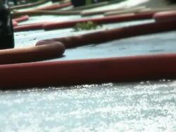 Fire Truck & Hoses #2 Stock Footage