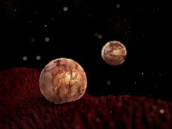 Medium hand-held - White blood cells attach to biological tissue in a computer-generated animation. Stock Footage