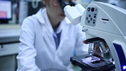 Researchers working in laboratory Stock Footage