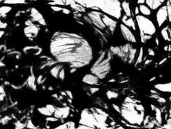 NATURE BACKGROUND : close-up, breakdown, vortex (LOOP) Stock Footage