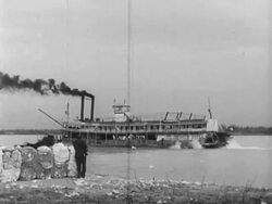 Exporting cotton to the world Stock Footage