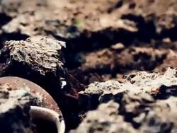 Dead land Stock Footage