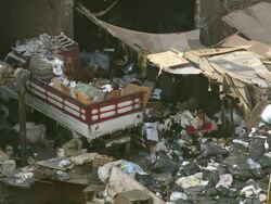 MS Shot of woman sorting garbage recyclable materials with animals / Cairo, Egypt Stock Footage