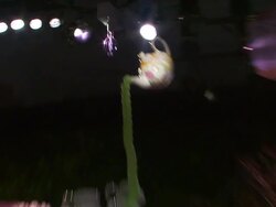 Liberty Of London For Target Experience & Shopping Event Stock Footage