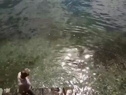 Couple walk down stone ramp into lake, look out Stock Footage