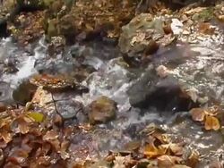 Fall Autumn Water 03 Stock Footage