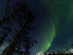 Alaskan Northern Lights Stock Footage