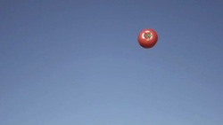 Slow Motion of Tossing Tomato Vegetable into Sky Stock Footage