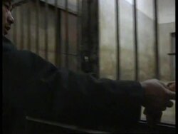 China - Zoo welcomes New Year News Clip