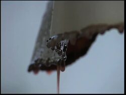 Wine and the cities in Califonia News Clip