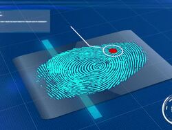 Biometric Fingerprint Scan Accepted Stock Footage