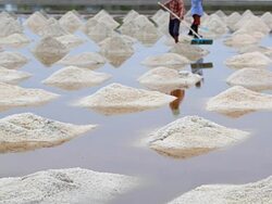 Salt harvesting, Thailand. Stock Footage