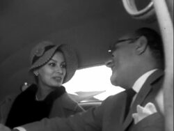 Sophia Loren Arrives in LA Stock Footage