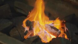 Firewoods burns in the fire Stock Footage