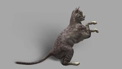 with Alpha Channel (Loopable) Stock Footage