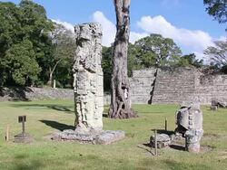 MS Shot of copan / Copan, Honduras Stock Footage
