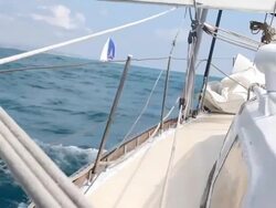Race Sailing Stock Footage