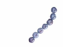 Blueberry Heart Stock Footage