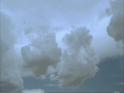T/L cumulus clouds forming Stock Footage