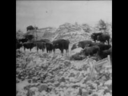 SYND 25 11 76 AFTERMATH OF THE EARTHQUAKE IN EASTERN PROVINCE, TURKEY Instructional Video