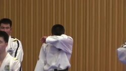 Combined Korean Taekwondo players perform in Seoul Instructional Video