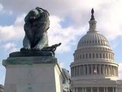 Capitol Building and lion statue News Clip