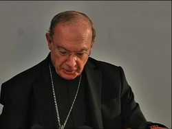 Roman Catholic church acknowledges sexual abuse by clergy, promises action News Clip