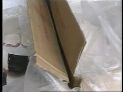 PHILIPPINES: WHALE SHARK MEAT SEIZED News Clip