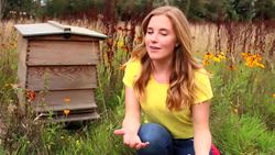 BEE Curious About The Environment! Instructional Video