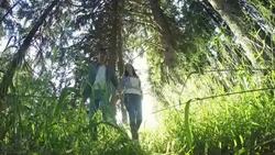 Walking trough the woods Stock Footage