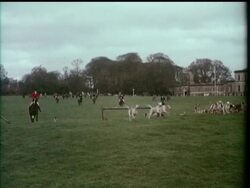 WESTMEATH HUNT News Clip