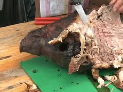 suckling Stock Footage