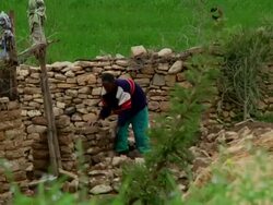 Afar men build stone enclosure Stock Footage