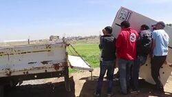 CLEAN : Mosul zoo lion and bear flown out of Iraq News Clip