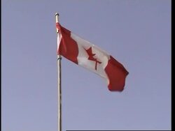 Canadian and NATO troops on manoeuvres, comments News Clip