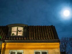 Roof and Moon Time Lapse Stock Footage