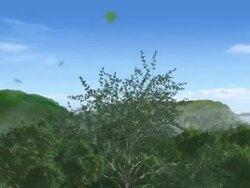 WS T/L Wind is blowing on trees and forested hilltop / Guanacaste, Costa Rica Stock Footage