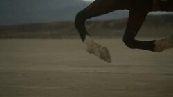 (Slow Motion) Horse Running- Hoof Close Up Stock Footage